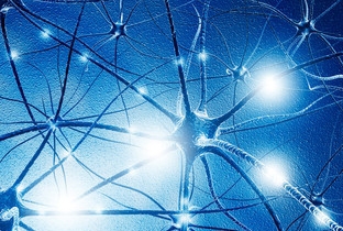 Neurology